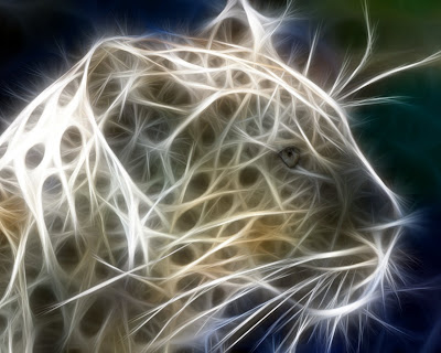 3d moving wallpapers. 3d moving wallpapers. 3d moving wallpapers.