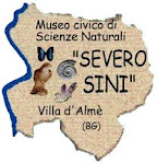 Logo del Museo Sini di Villa d'Almè