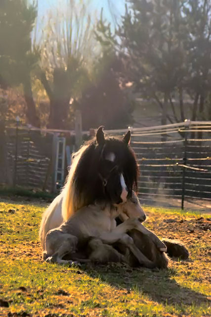 [mammas+love]