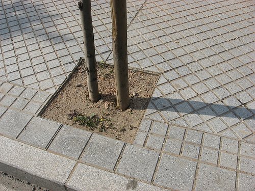 [alcorque2.jpg]