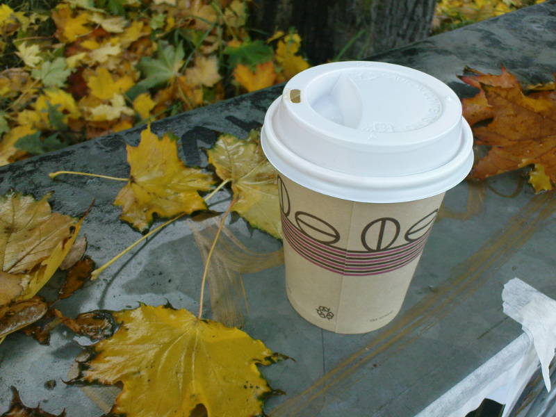 [image-upload-4-793893.jpg]