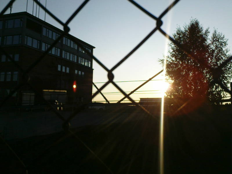 [image-upload-54-770887.jpg]