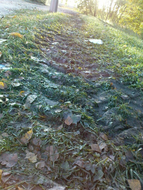 [image-upload-3-733351.jpg]