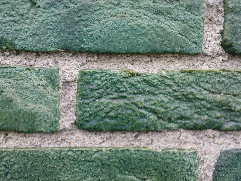 [image-upload-180-765447.jpg]