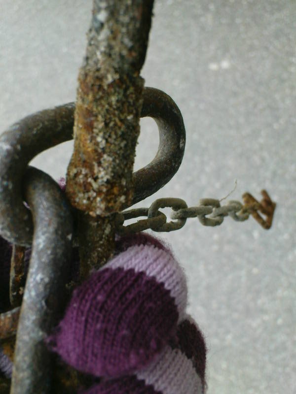 [image-upload-107-769671.jpg]