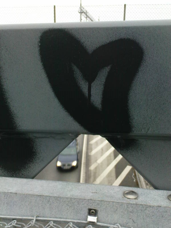 [image-upload-29-795604.jpg]