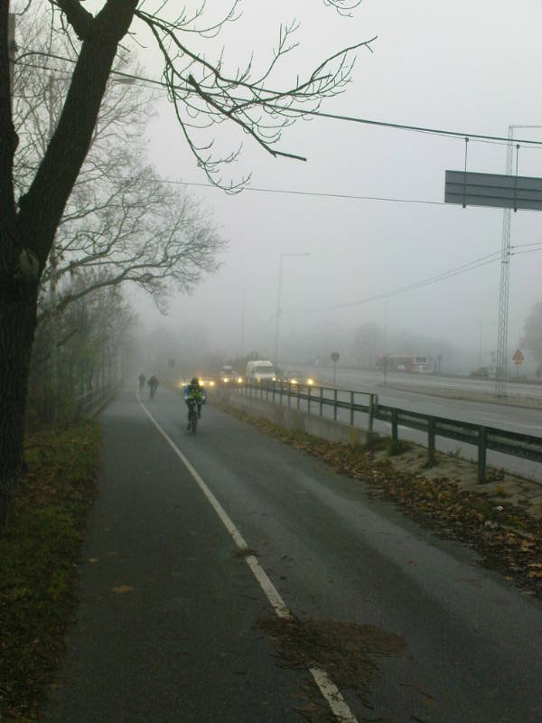 [image-upload-35-765487.jpg]