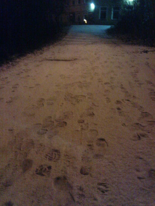 [image-upload-169-720125.jpg]