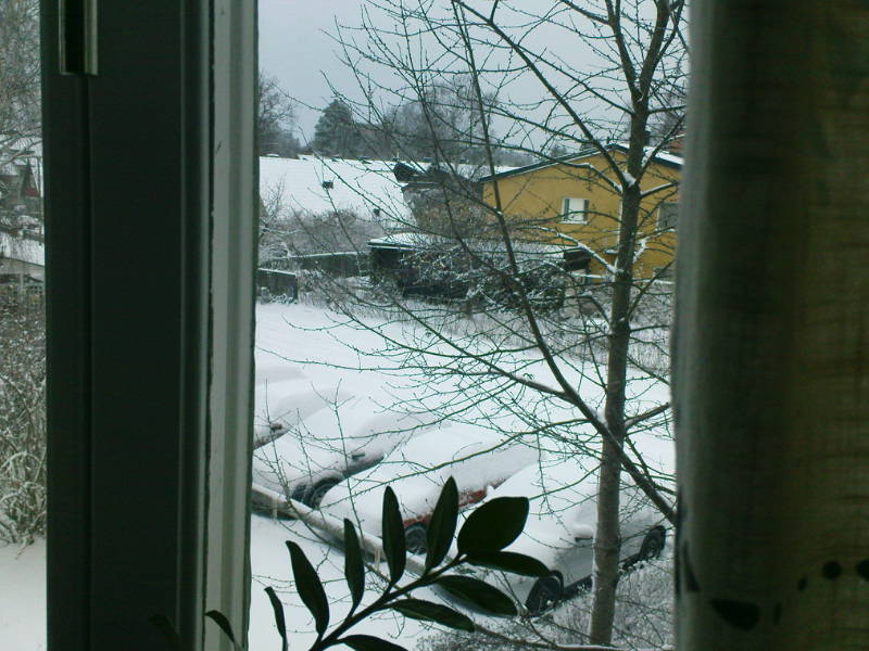 [image-upload-60-749013.jpg]