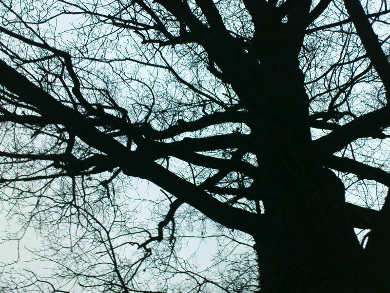 [image-upload-112-774043.jpg]