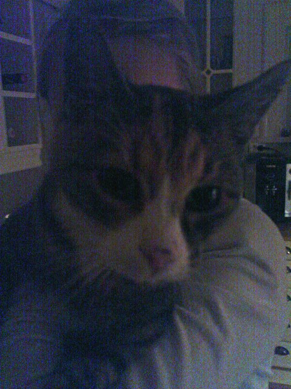 [image-upload-211-771825.jpg]