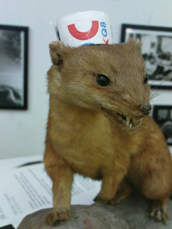 [image-upload-5-726253.jpg]