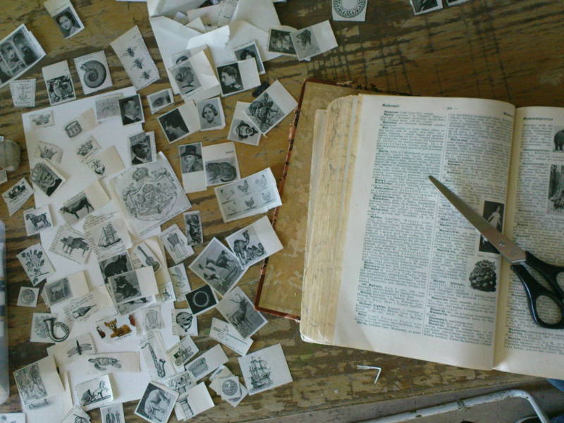 [image-upload-276-797614.jpg]