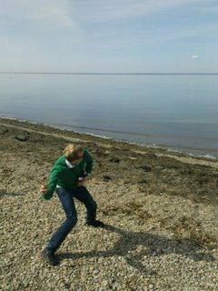 [image-upload-26-784622.jpg]