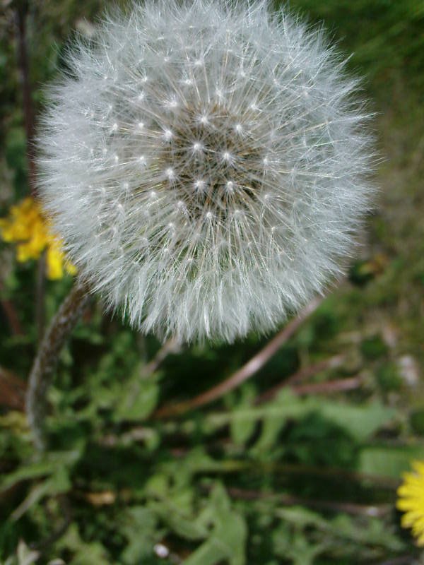 [image-upload-22-731571.jpg]