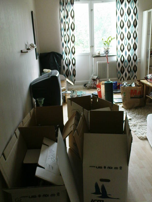 [image-upload-384-753995.jpg]