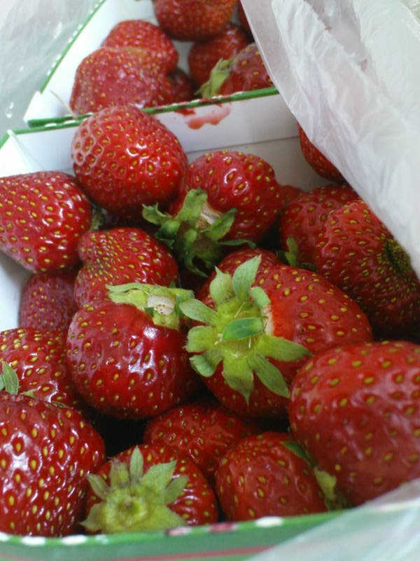 [image-upload-32-793572.jpg]