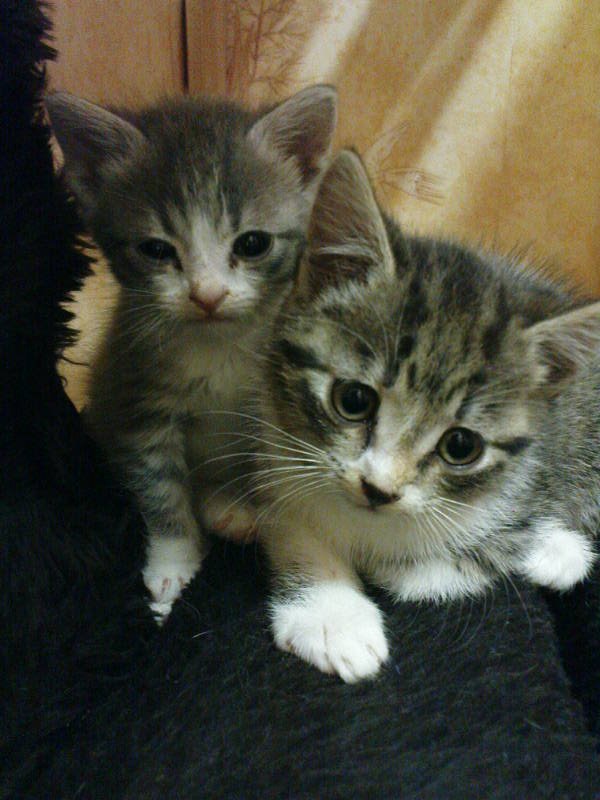 [image-upload-141-712481.jpg]