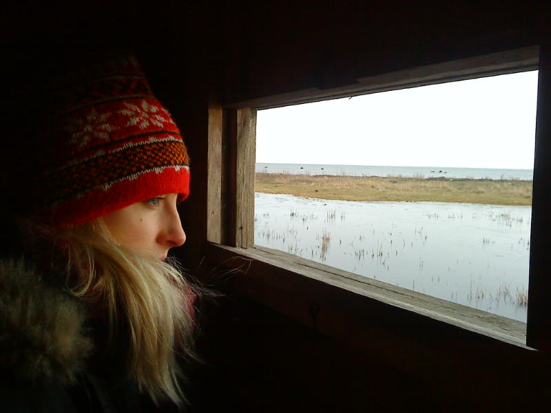 [image-upload-307-762576.jpg]