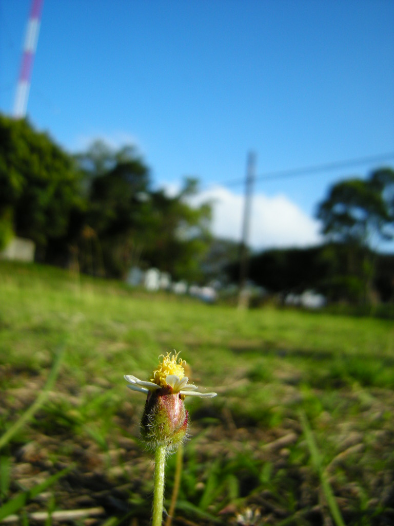 [DSCN2088.jpg]