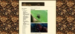 Blog of the Month (December, 2009)