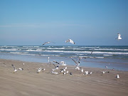 Boondocking on Padre Island National Seashore (padre island national seashore )