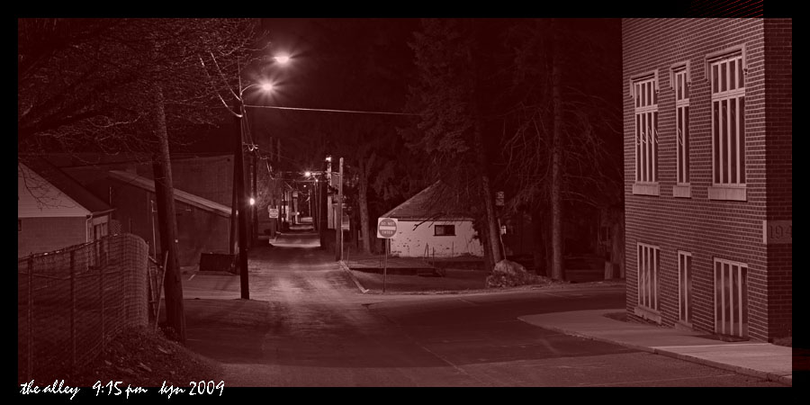 [2009+0305+the+alley+915pm.jpg]