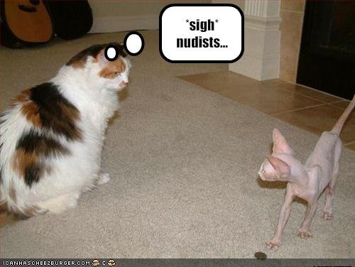 funny pictures cat does not like nudists Free Funny Picture Joke,Funny Picture of the World,Funny Jokes of the Day,NASA Picture of the Day,bFunny Pictures to Email