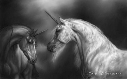 [555da493ae315c5e.jpg]