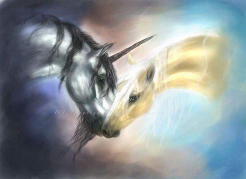 [f84c1e3dccc421a9.jpg]