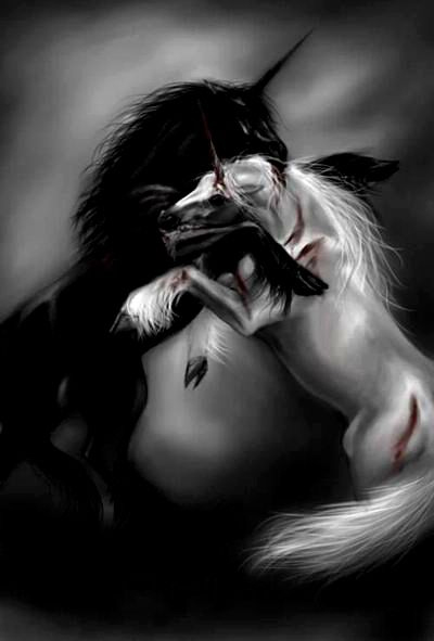 [czarnyjednororzec4zk.jpg]