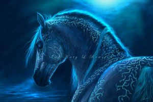 [magicznekonie5li9.jpg]