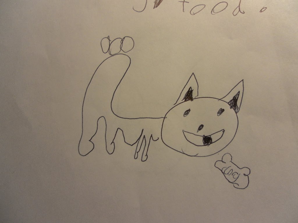 My Dog Accidentally Ate Cat Food My Dog Accidentally Ate Cat Food