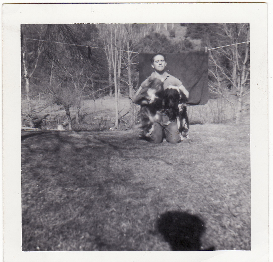 [choke+hold+on+a+mess+of+dogs.jpg]