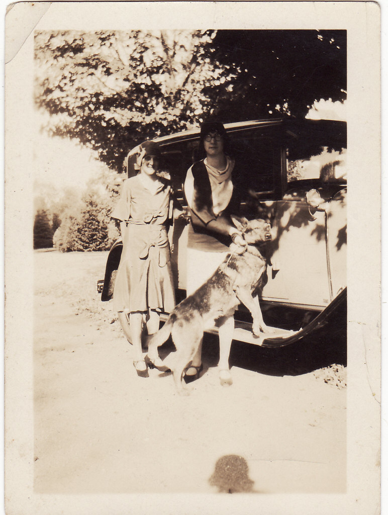 [german+shepard.jpg]