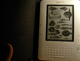 [kindle5.jpg]