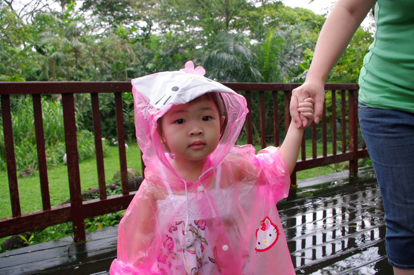 [IMGP8588m.JPG]