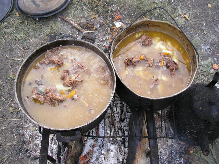 Шурпа охотничья.