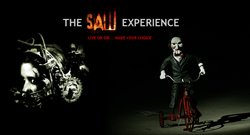 The SAW Experience