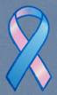 Pregnancy and Infant Loss Awareness