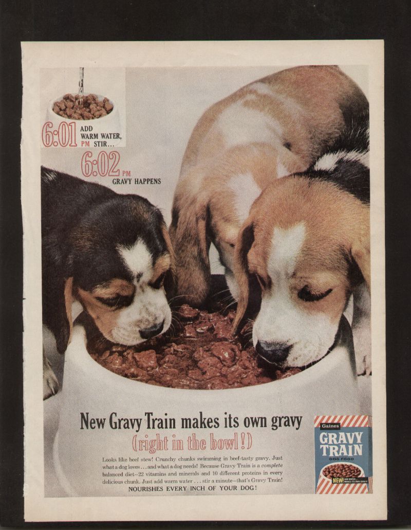 Can Puppies Eat Turkey Hot Dogs Can Puppies Eat Turkey Hot Dogs