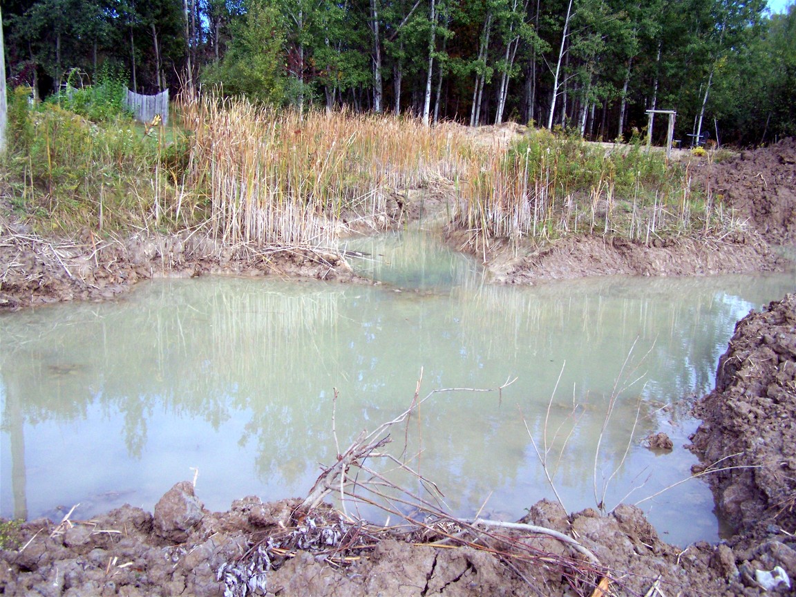 Restful Trails Food Forest Garden Water is filling in in the new pond dig
