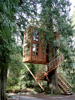 hotel tree house