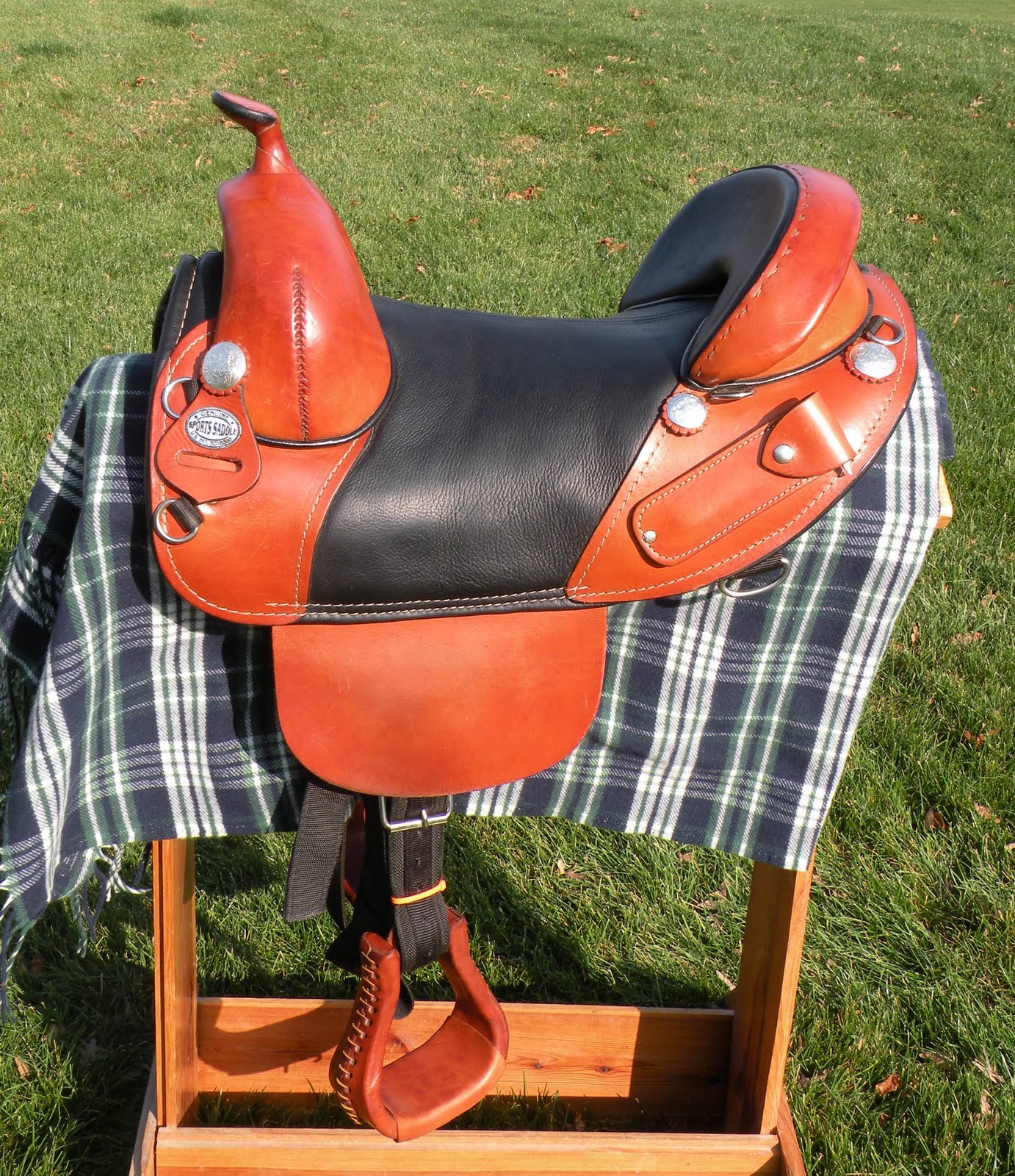 Bob Marshall Treeless Saddles November 2009