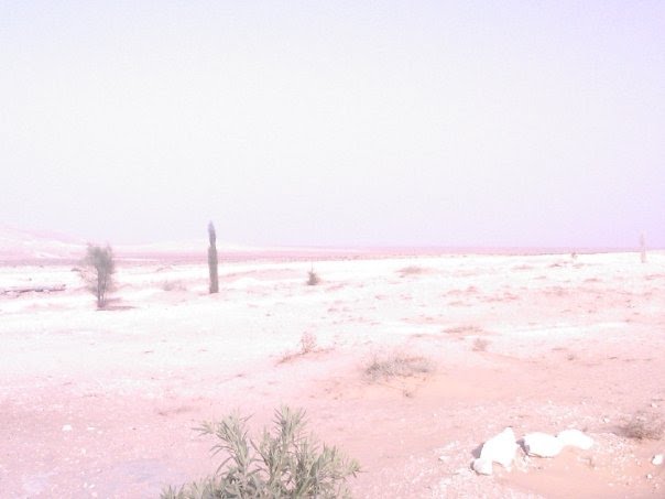 http://4.bp.blogspot.com/_2B-3pyqeB_8/S9sgFZVpgNI/AAAAAAAAAJc/J1RsSyhhOtY/s1600/Sahara5.bmp