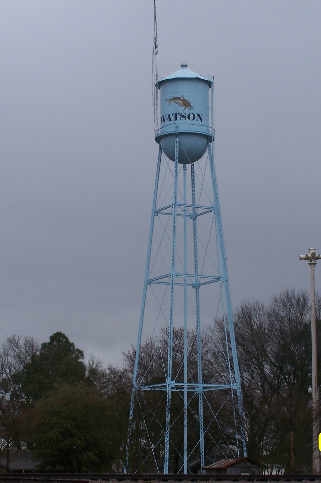 Outlaw's HideOut 2010 50th Annual Watson Fish Fry