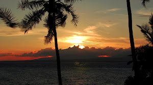 Apo Island Sunset