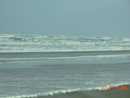 The Beach by our House
