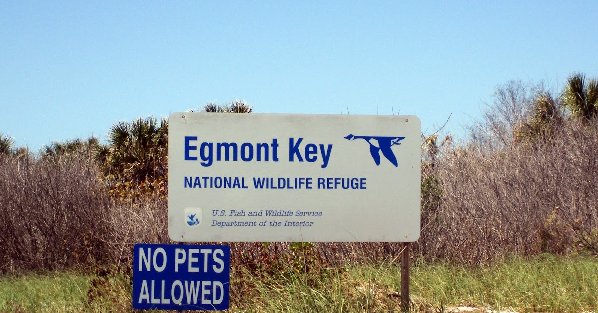 Egmont Key Tide Chart