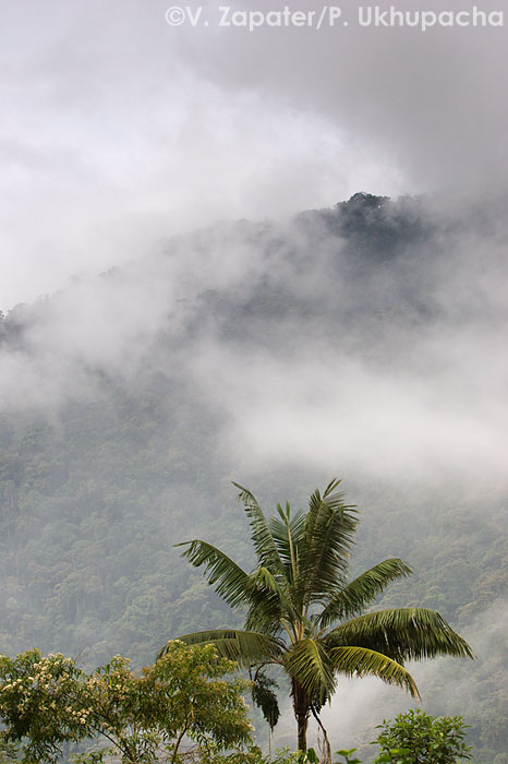 [08_uk09vz136591_blog.jpg]